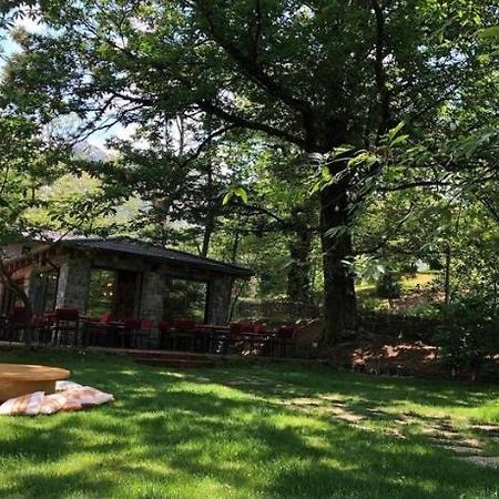 Hotel Baresha Agroturizem Qafe-Grade Zewnętrze zdjęcie